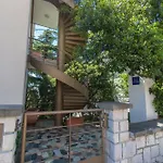 Maslina V,vm Crikvenica