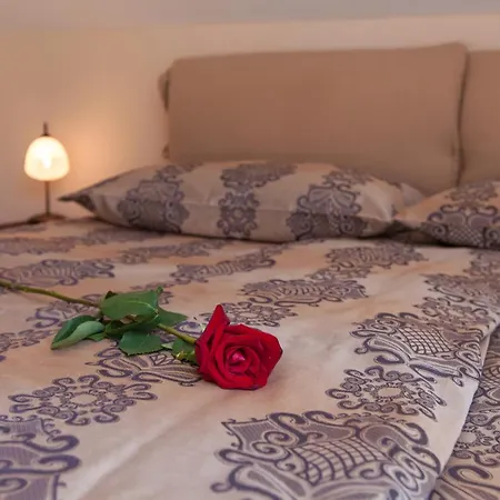 Maslina V,vm * Crikvenica