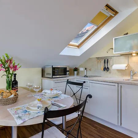 Maslina V,vm Crikvenica