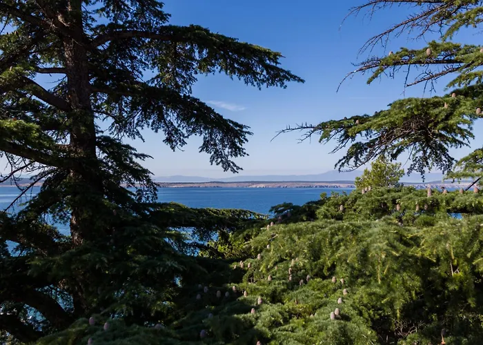 Maslina V,vm Lägenhet Crikvenica