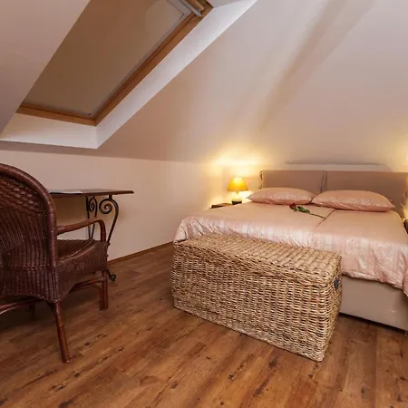 Maslina V,vm Crikvenica