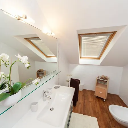 Maslina V,vm Crikvenica