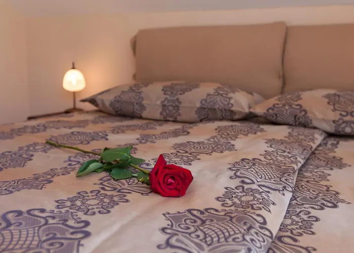 Maslina V,vm * Crikvenica