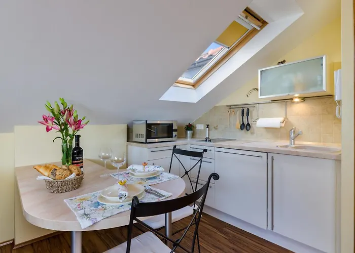 Maslina V,vm Crikvenica