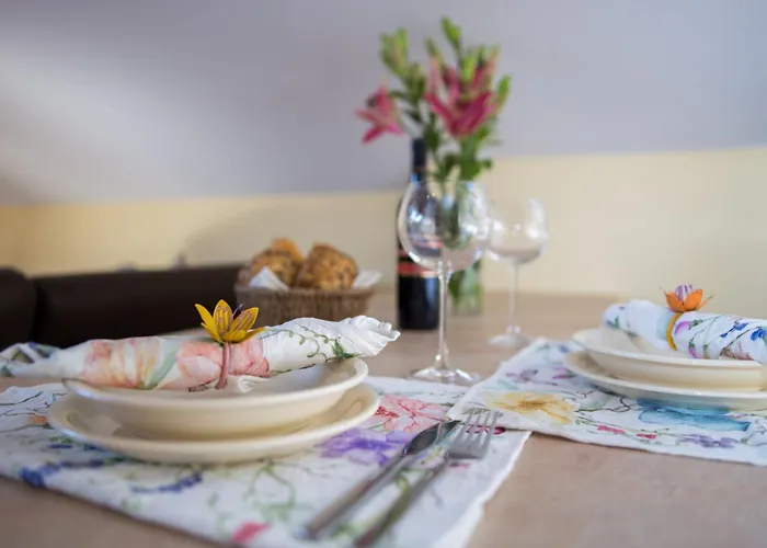 Maslina V,vm Crikvenica