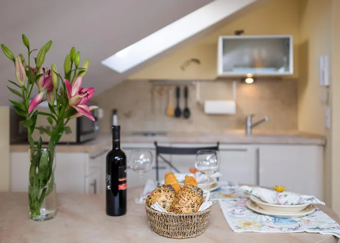 Maslina V,vm Crikvenica